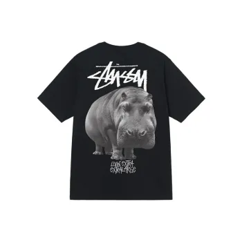 Stussy Withered Flower Tee