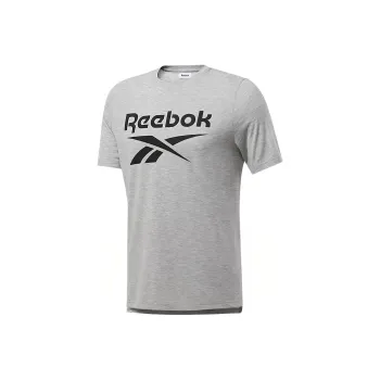 Reebok T Shirts Men Gray