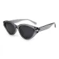 Transparent Gray Frame with Gray Lens