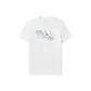 Standard White