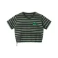 Gray Stripes (Cropped)