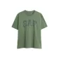 Gray Green