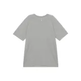 Rhinoceros Gray/ASGY/RHIG