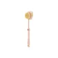 Bear Handle Double-Sided Shower Brush Pink: 2 Pcs