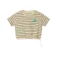Beige Stripes (Cropped)