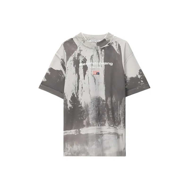 Alexander Wang T Shirts Men Gray-0