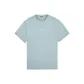 Gray Blue