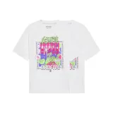 2 Pack (White)