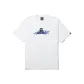 IVX/White