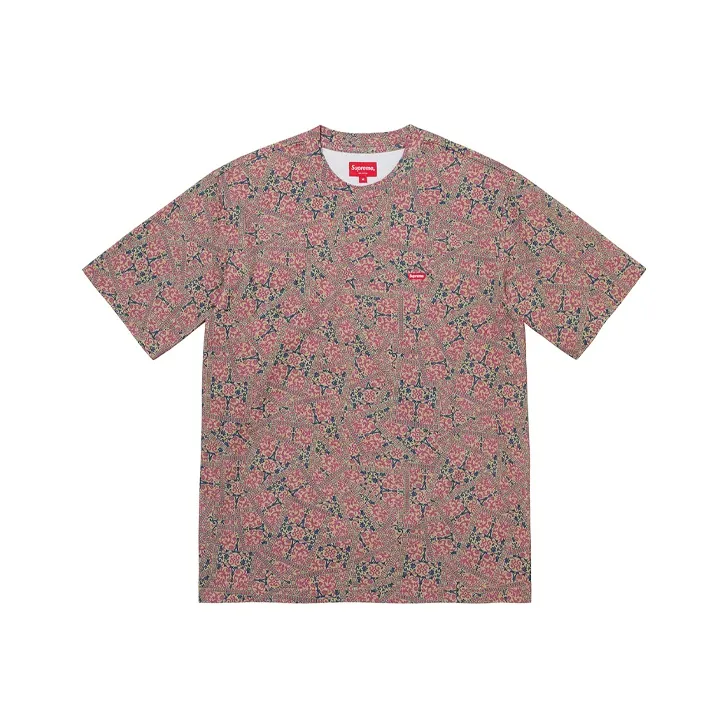 Supreme Small Box Tee SS20-8