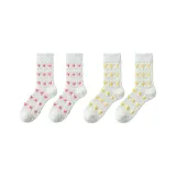 2 Pack Combination D