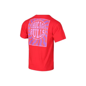 NBA Bulls T Shirts Unisex Bulls Team
