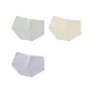 M1767-E Set-Mint Early Summer-Green+Yellow+Purple (3 Pack)