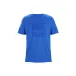 Blue-Fluidity