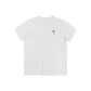 Polar White