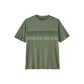 SEDGE GREEN X-DYE