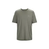 Dusty Green/Forage