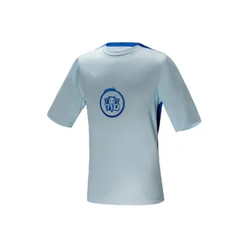PUMA Honor Of Kings T-Shirts Men Blue