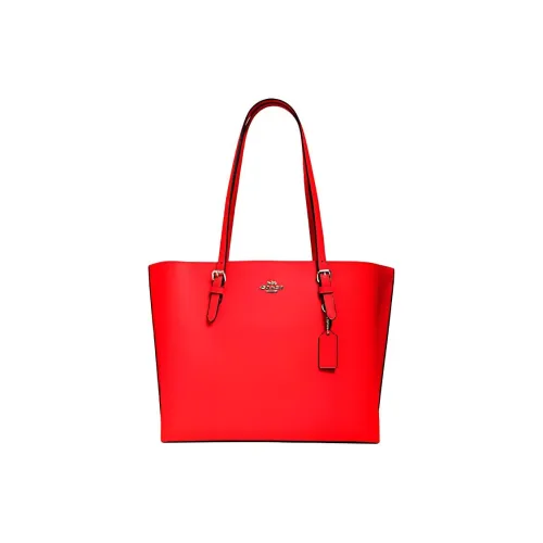 COACH Mollie Shoulder Bags