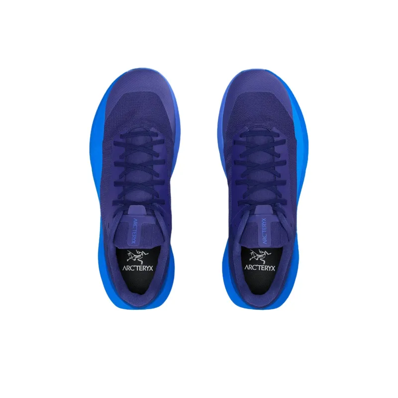 Arcteryx Cushioning, Abrasion Resistant, Breathable Support Low Top Running Shoes Men's Purple Blue-1