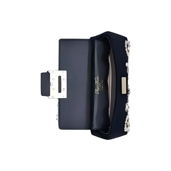 Roger Vivier Velvet Clutches Handbags Mini Women's Black-1
