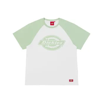 Dickies SS21 T Shirt Unisex Celadon Green