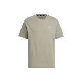 Silver Gray