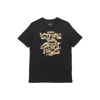 Nike Lebron Strive For Greatness T Shirt