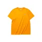 Cadmium Yellow