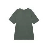 Smoky Spruce Green & Green/SKSR/TIDT