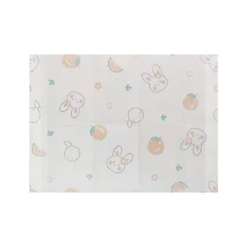Haiying Fabric Disposable Kids Placemat Portable For Outdoor Use Oil Resistant And Waterproof