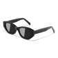 Black Frame with Black Gray Lens