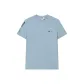 Gray Blue