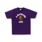 Purple PPX