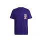 Collegiate Purple