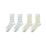 2 Pack Combination C