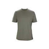 Dusty Green/Forage