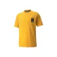 Earth Yellow