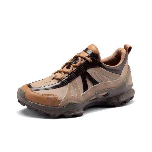 Natacha x Ecco Biom C Trail Low Top Trekking Shoes Women's Chestnut Brown