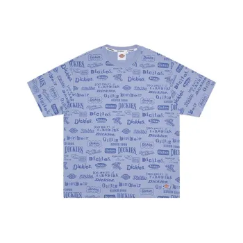 Dickies SS22 T Shirt Unisex Gray Blue