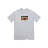 Smoke Gray