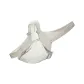 Bone White