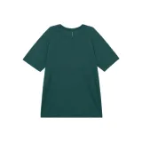 Green/NISE/DPCV