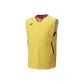 Kerria Yellow