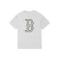 Light Heather Gray