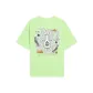 Butterfly Pink Green