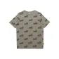 Gray Green