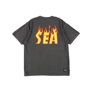 Wind And Sea X Thrasher X WIND AND SEA CO-TITLED SERIES T-Shirts Unisex Gray