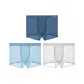 Cerulean+Sky Blue+Light Gray