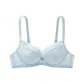 Snow Crystal Blue